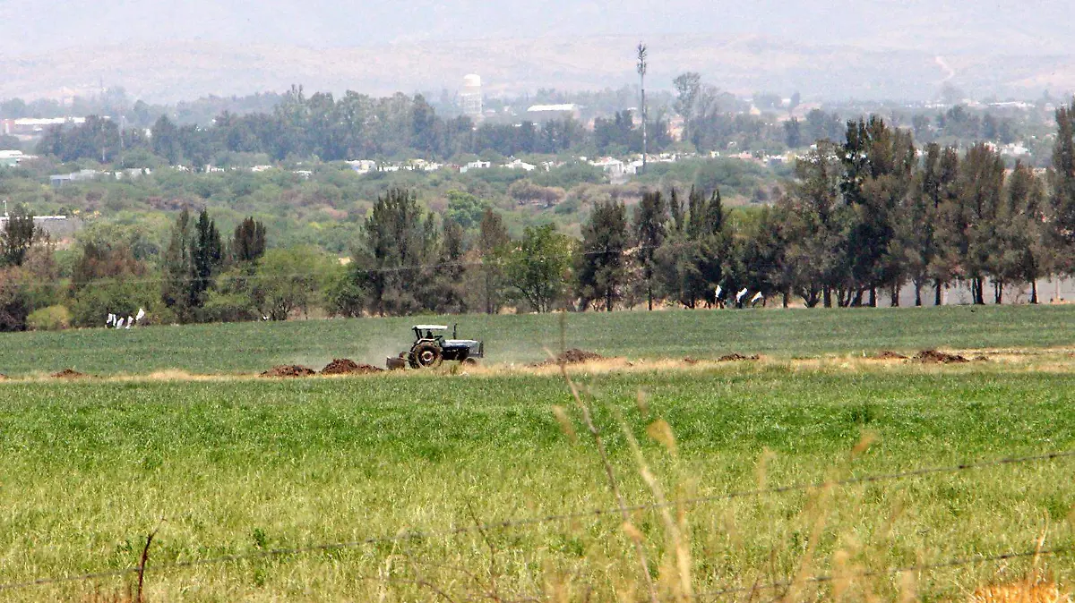 campo tractor